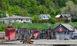 A herd of CP Rail snowplows and spreaders in the south storage area on the CP Revelstoke Yard.